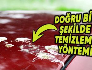 En Kolay Formülüyle: Kuş Pisliğini Otomobilin Boyasına Ziyan Vermeden Nasıl Çıkarırsınız?