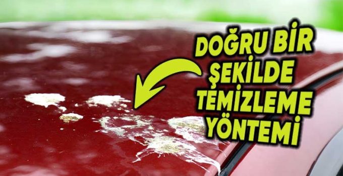 En Kolay Formülüyle: Kuş Pisliğini Otomobilin Boyasına Ziyan Vermeden Nasıl Çıkarırsınız?