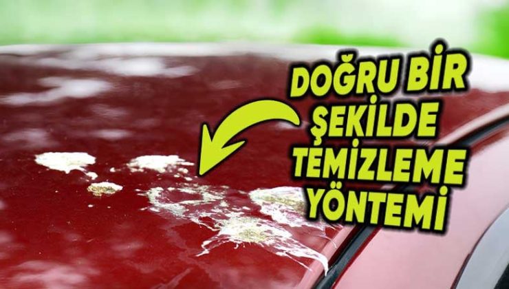 En Kolay Formülüyle: Kuş Pisliğini Otomobilin Boyasına Ziyan Vermeden Nasıl Çıkarırsınız?