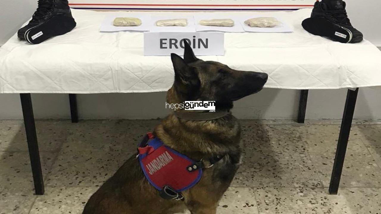 Ayakkabıya gizlenmiş eroini narkotik köpeği buldu