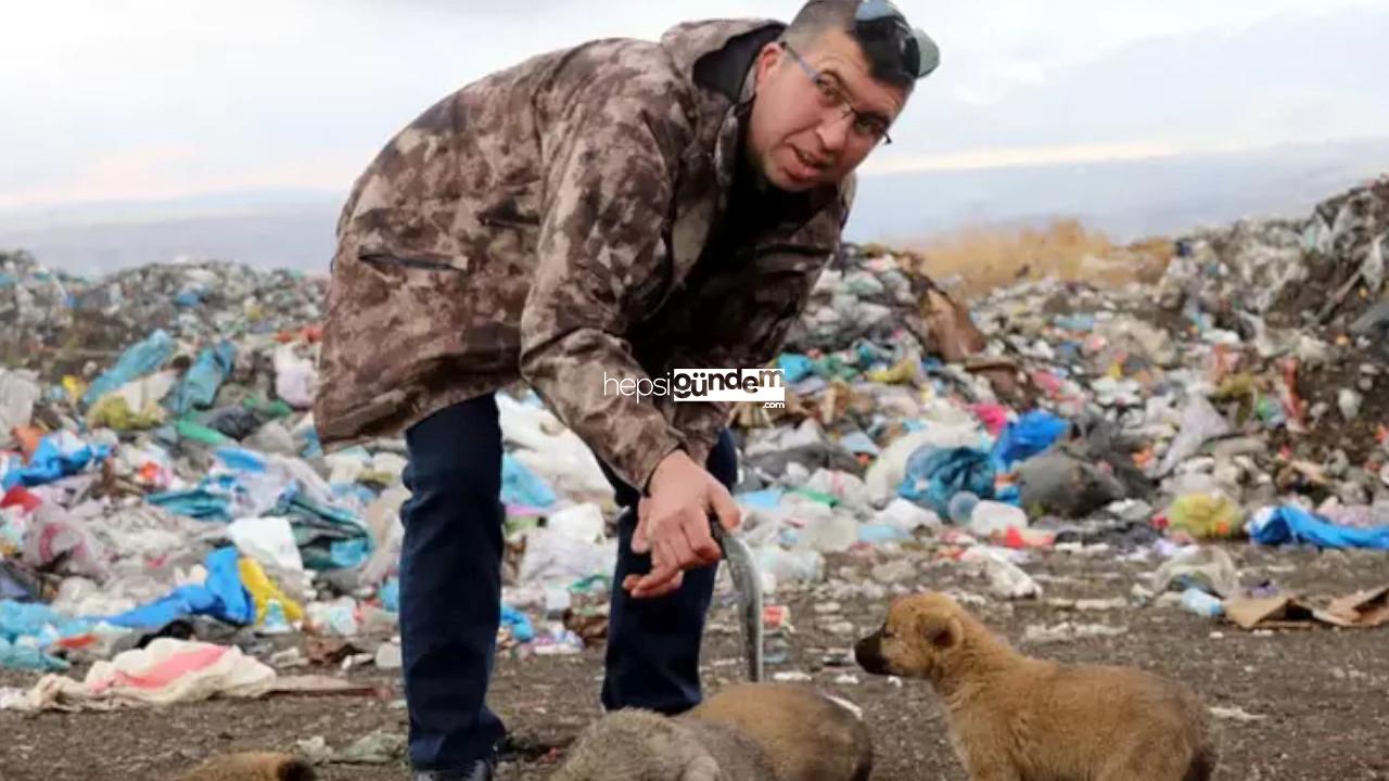 Balık ihracatı yapıyor, 16 yıldır sokak hayvanlarını balıkla besliyor