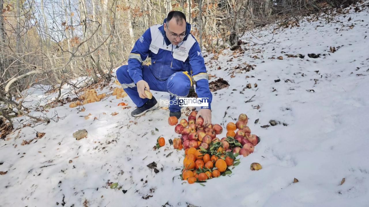 HAYTAP Osmaniye’de yaban hayvanları için yem bıraktı