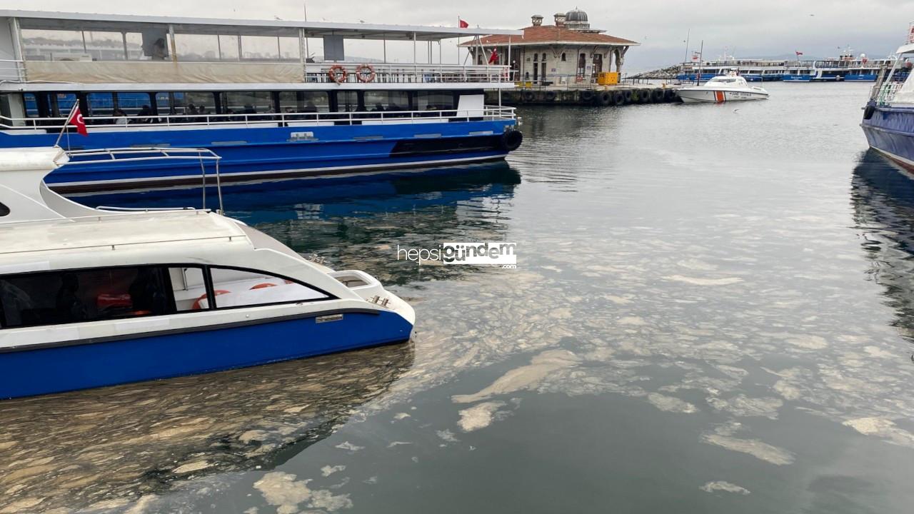 Marmara’ya yayılıyor: Müsilaj Kadıköy’e dayandı