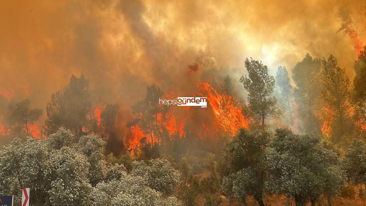 Muğla’da çıkan orman yangınlarının yarısından fazlası insan kaynaklı