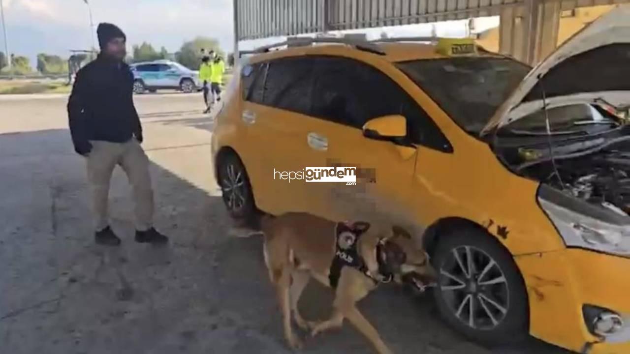 Narkotik köpeği takside uyuşturucu buldu