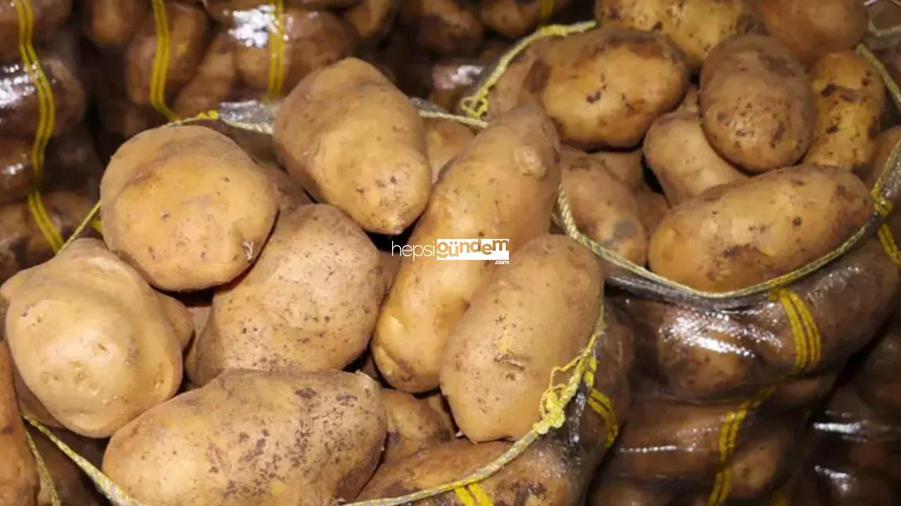 Patates hesabı: Üretici 8 liraya mal ediyor, 4 liraya satıyor