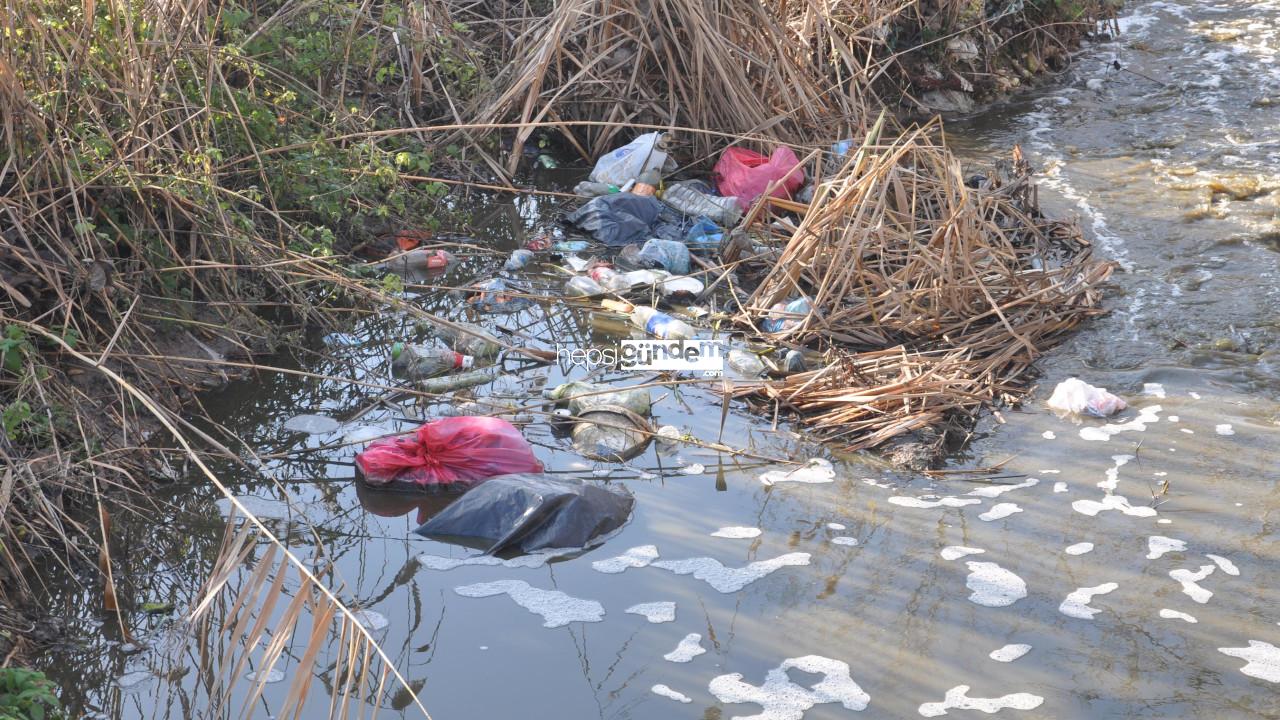 Saranlı Deresi’nde kirlilik: Renk değiştirdi, makus koku yayıldı