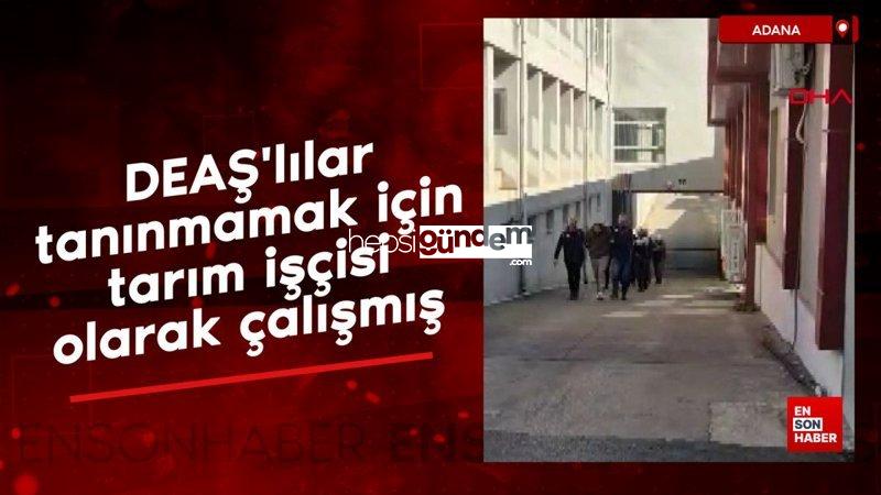 Adana’da DEAŞ’lılar tanınmamak için tarım personeli olarak çalışmış