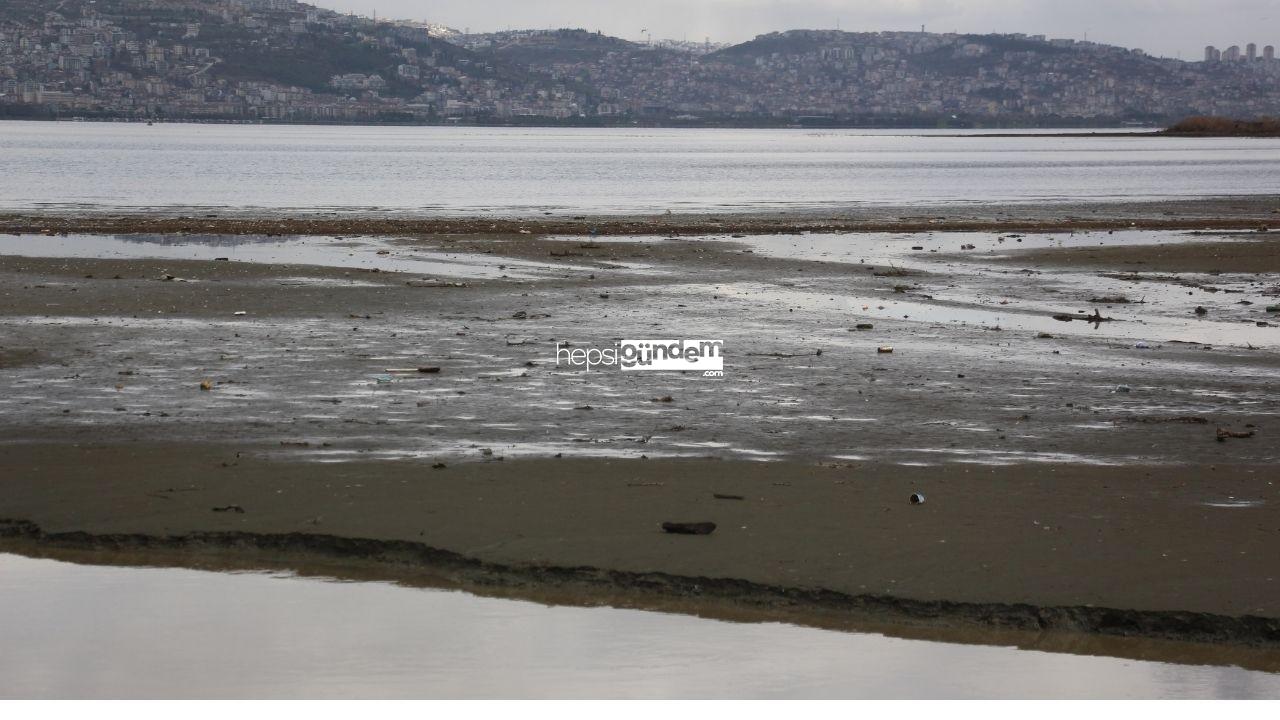 Gölcük’te deniz kıyısı çamurla kaplandı