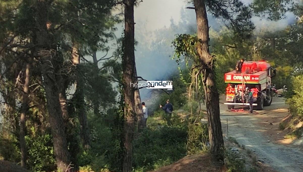 Hatay’da ormanlık alanda örtü yangını çıktı