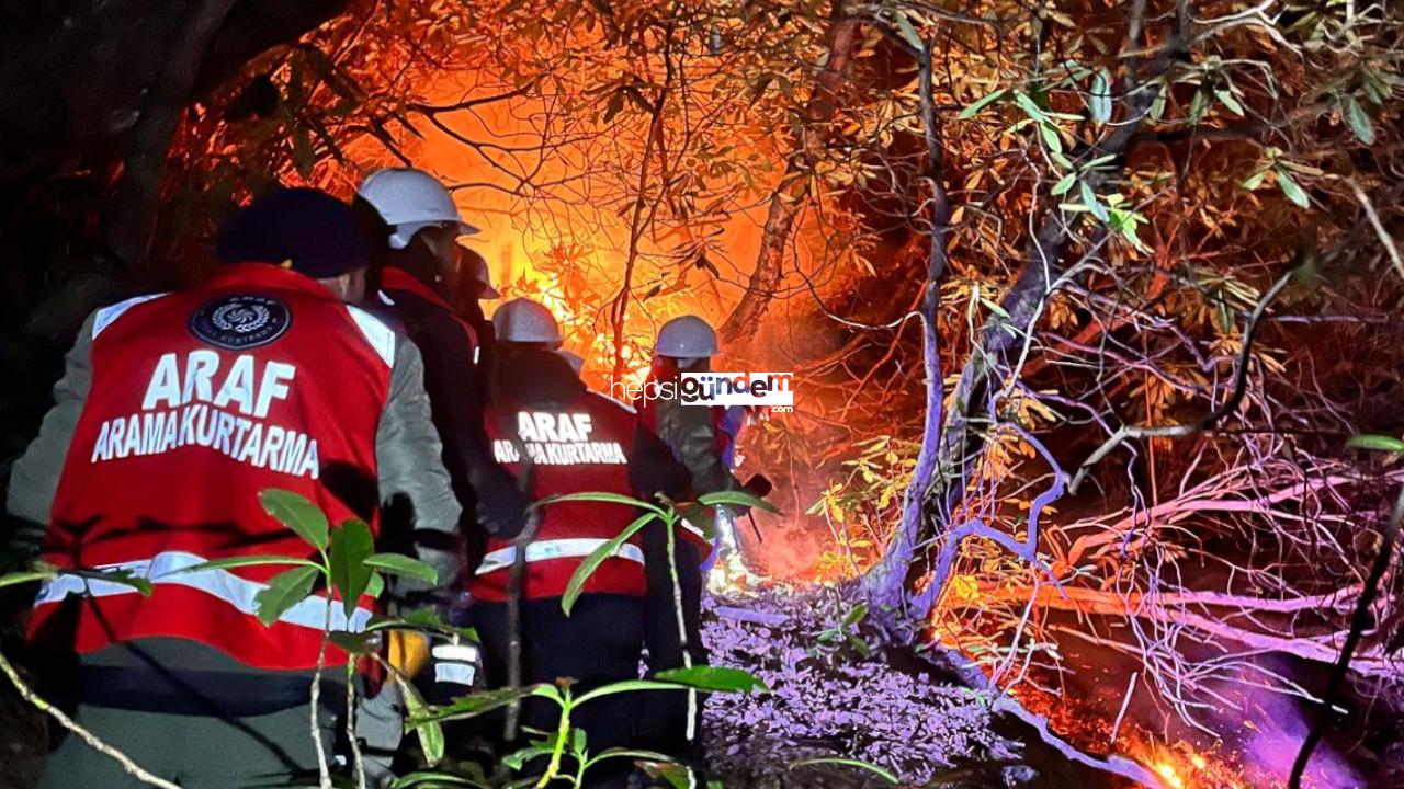 Rize’de ormana sıçrayan anız yangını söndürüldü