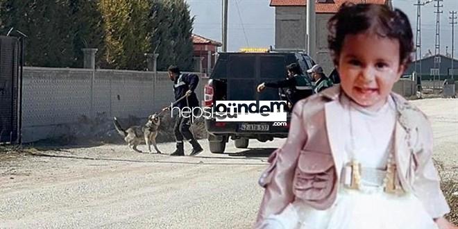 DMM’den köpek hücumunda ölen Rana’ya ait açıklama