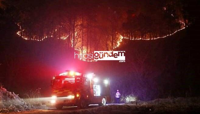 Güney Kore’deki orman yangınları: Meyyit sayısı yükseliyor