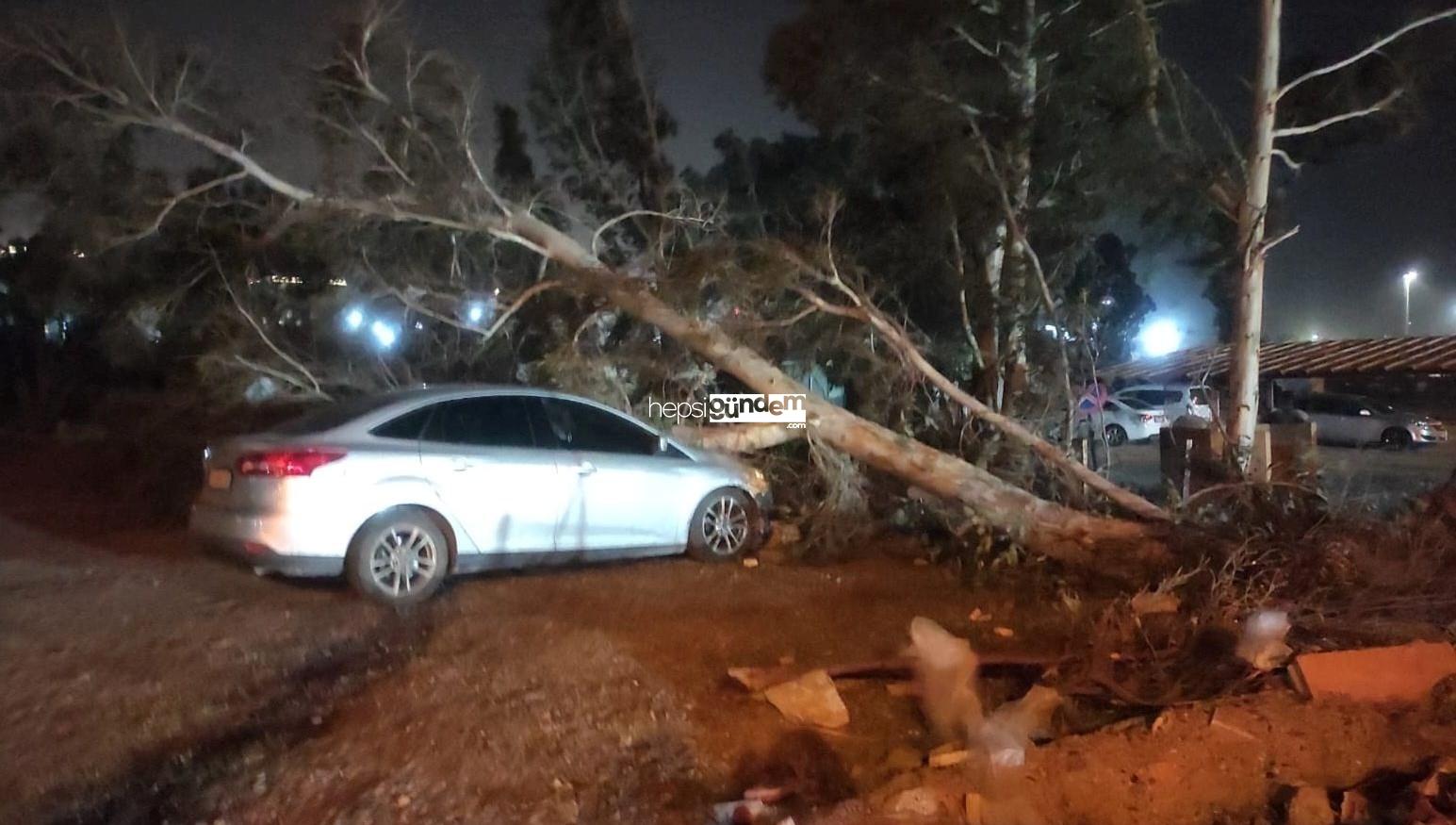 Hatay’da fırtına: Tekneler alabora oldu, ağaçlar devrildi