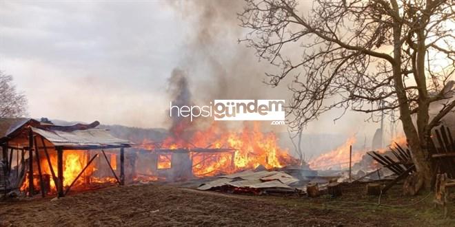 Kastamonu’da çok sayıda konut ve ahır alevlere teslim oldu