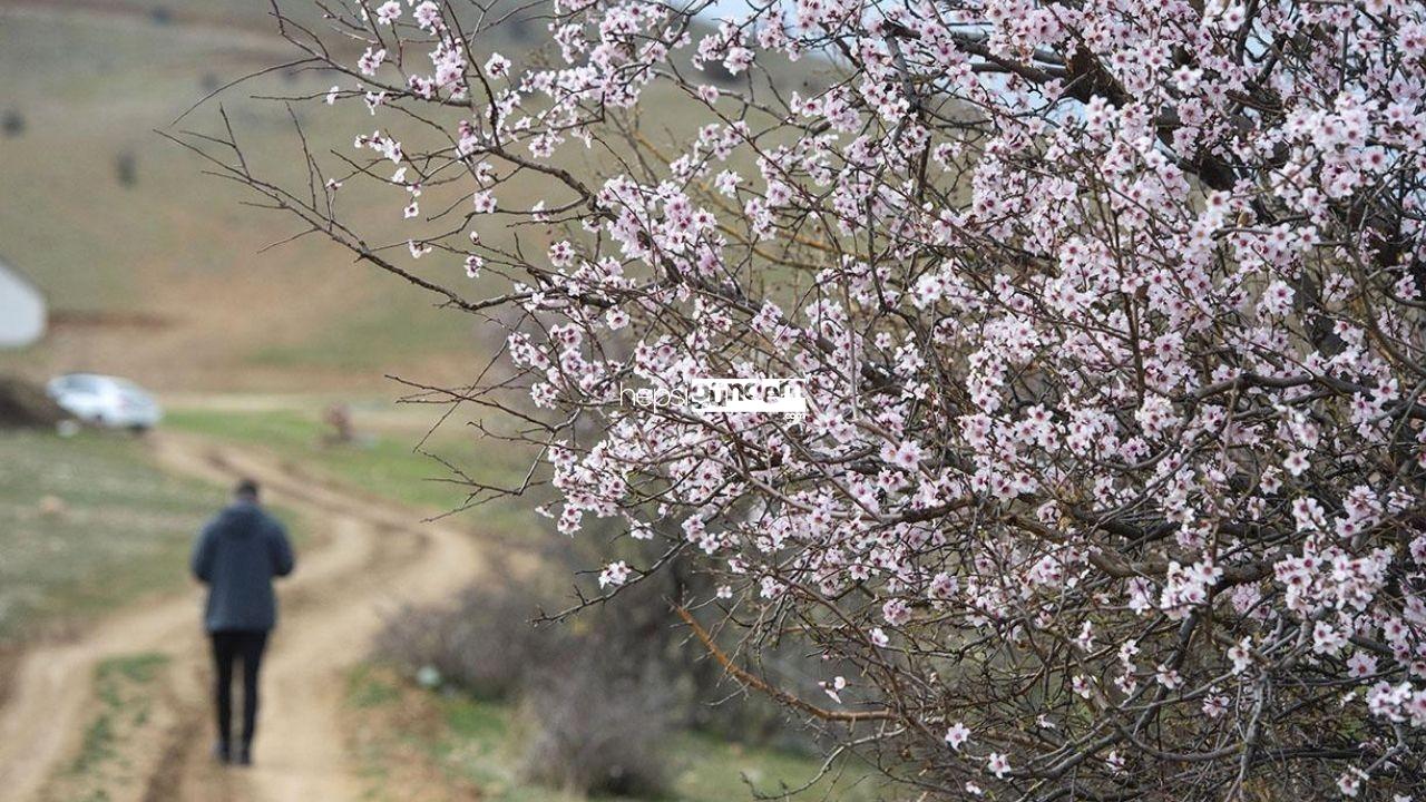 Meteoroloji bölge bölge açıkladı: Hava sıcaklıkları 4 – 8 derece artıyor